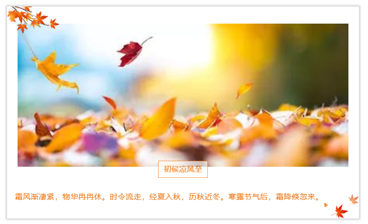 1666333408525812.png image.png